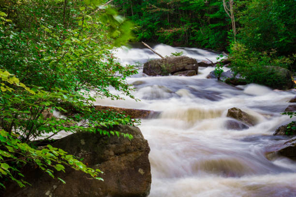 istock Mountain Stream Swiftly Flowing Down Mountain After Heavy Rains 1043035584