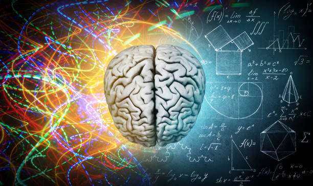 istock The concept of the human brain. 1043035586