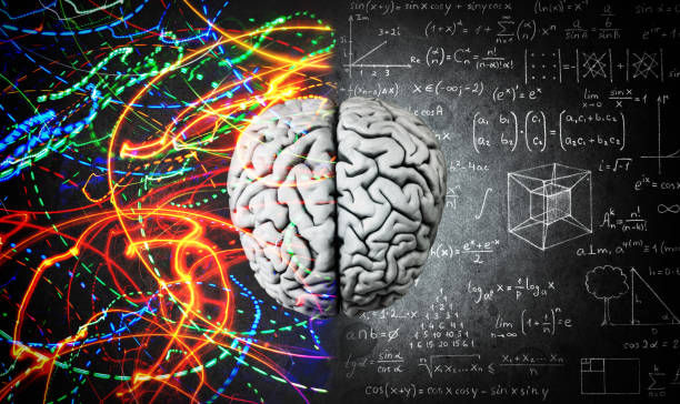 istock The concept of the human brain. 1043035592