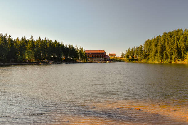 istock Mummelsee in the Black Forest 1043036186