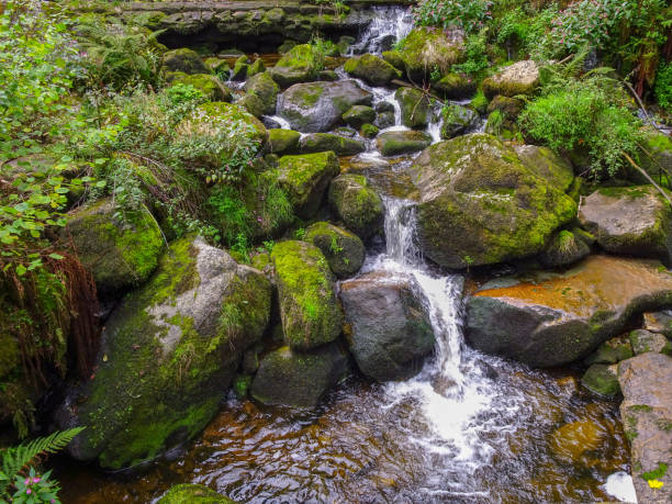 istock Triberg Waterfalls in the Black Forest 1043041242