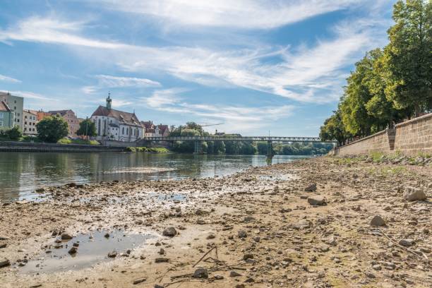 Low water level of the Danube with a view of the Iron Bridge in Regensburg, Germany Low water level of the Danube with a view of the Iron Bridge in Regensburg, Germany low tide stock pictures, royalty-free photos & images