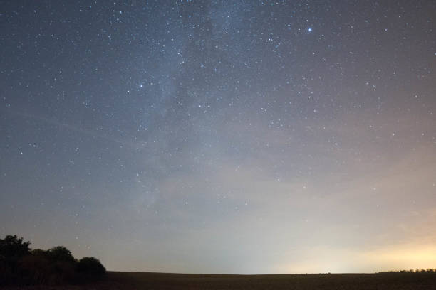 istock Low Angle View Of Silhouette Trees Against Sky At Night 1043058274