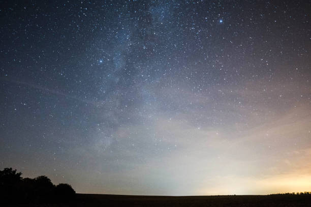 istock Low Angle View Of Silhouette Trees Against Sky At Night 1043058310