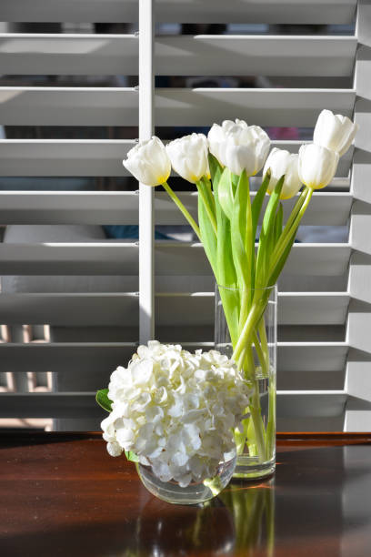 istock White tulips and hydrangeas in vases on a table 1043058348
