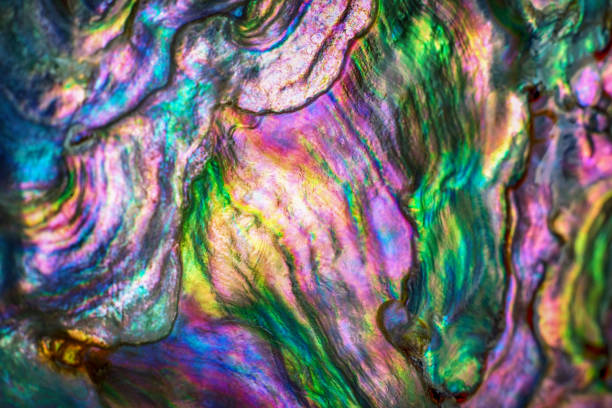 istock High magnification macro of nature texture pearl shell. Rainbow colors abstract background close-up. 1043058544