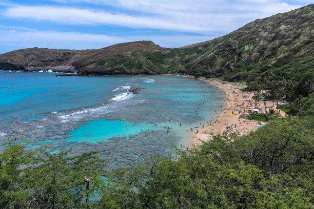 bahía de hanauma en oahu, hawai - hanauma bay hawaii islands oahu bay fotografías e imágenes de stock