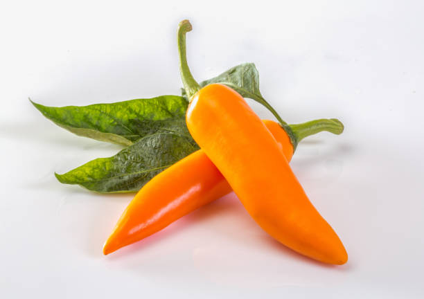 istock Yellow chili peppers isolated on white background 1043062212