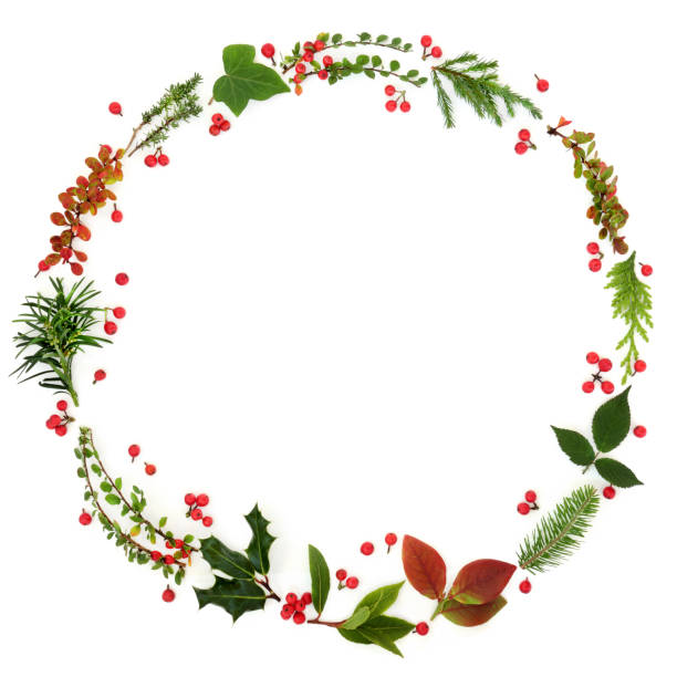 istock Winter Flora Wreath Garland 1043062242