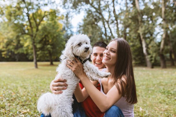 istock Loving our pup brought us closer 1043066018