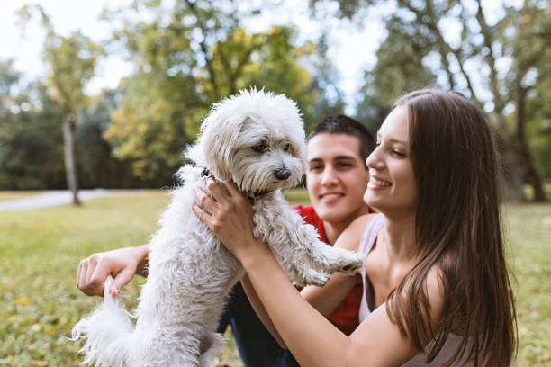 istock Loving our pup brought us closer 1043066102