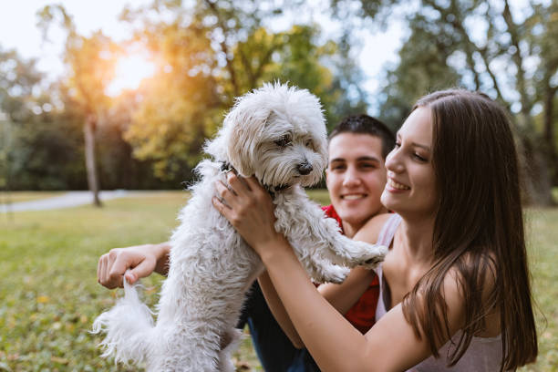 istock Loving our pup brought us closer 1043066104