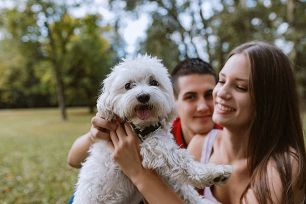 istock Loving our pup brought us closer 1043066190