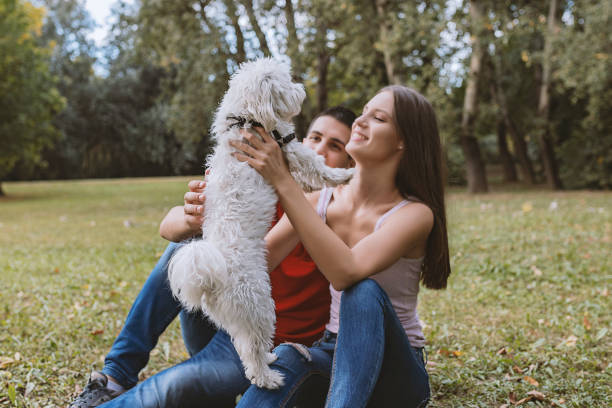 istock Loving our pup brought us closer 1043070258