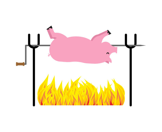 Exploding Pig Drawing 350+ Pig Roast Drawing Stock Illustrations, Royalty-Free Vector ...