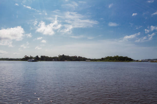 istock Landscape of the Amazon River 1043072588