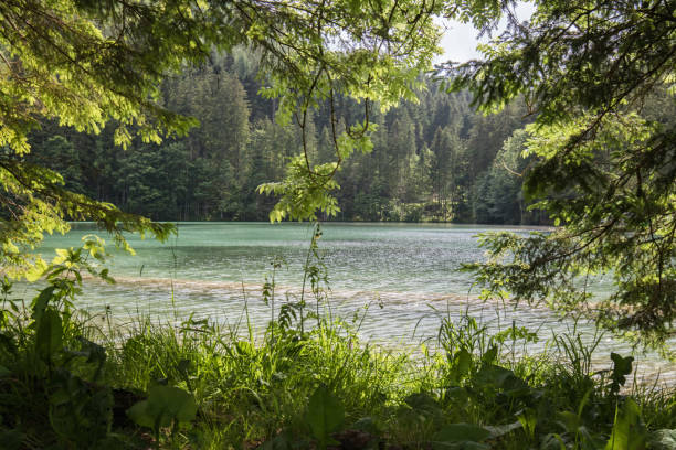 istock View on scenic mountain lake plansarsko, slovenia 1043078176