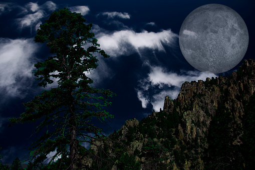 Lone Pine and Moon with Mountain