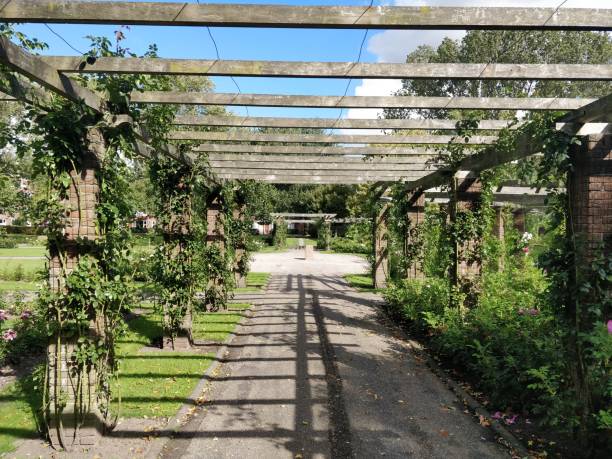 istock Pergola Gazebo garden bench 1043085444