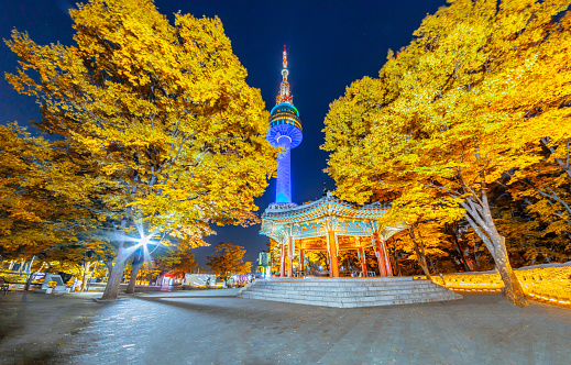 Fall color change in Seoul and N seoul tower  in autumn at night, Seoul city, South Korea