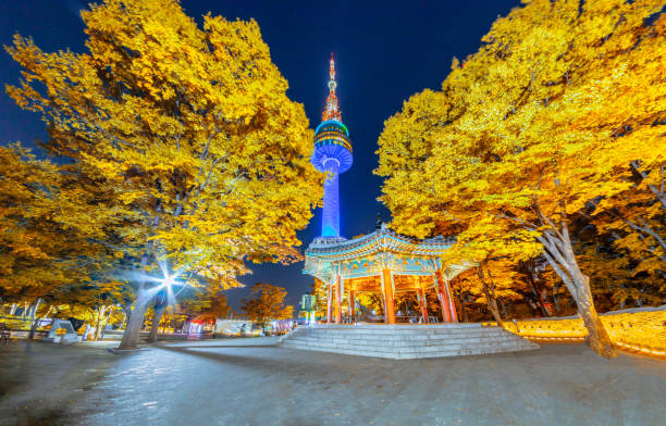 Fall color change in Seoul and N seoul tower  in autumn at night, Seoul city, South Korea Fall color change in Seoul and N seoul tower  in autumn at night, Seoul city, South Korea korea autumn stock pictures, royalty-free photos & images