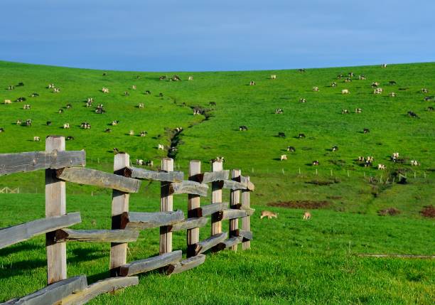 istock Wooden Fence 1043092858