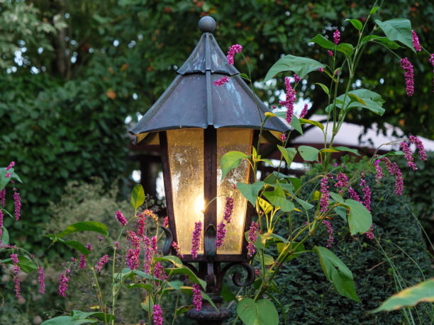 istock summer evening in a german garden 1043093314