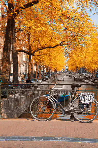 istock bike on canal ring bridge, Amsterdam 1043100300