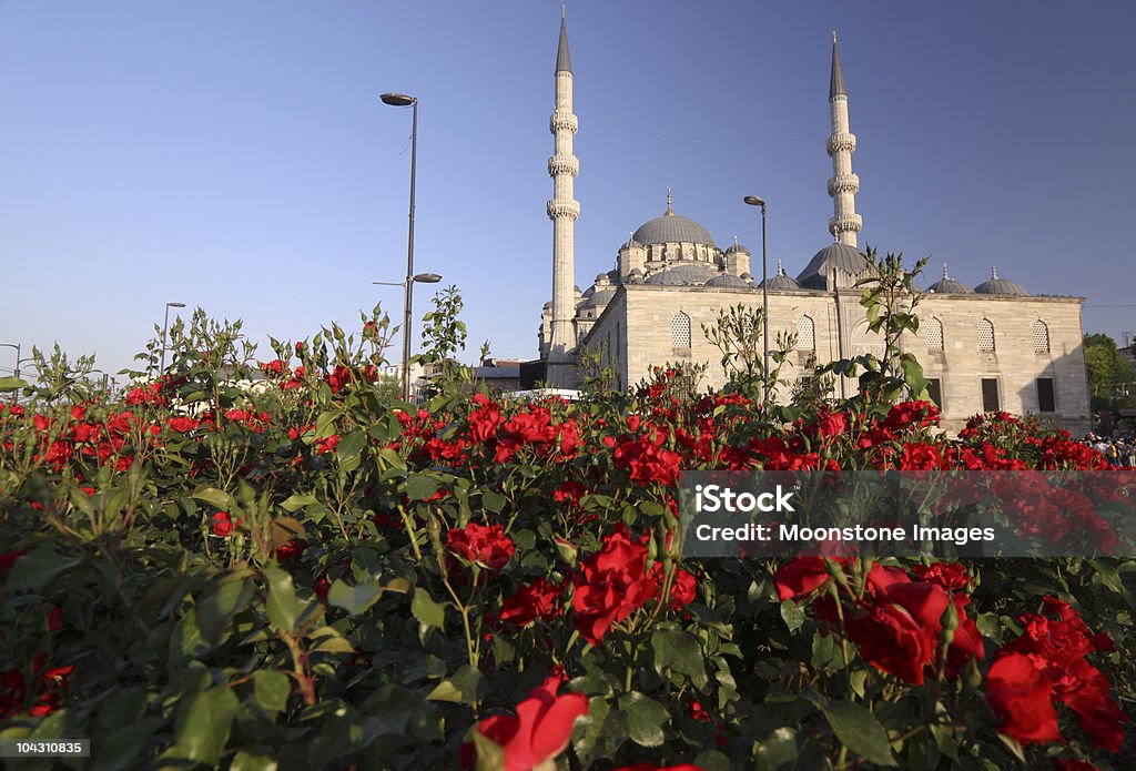 Neue-Moschee in Istanbul, Türkei - Lizenzfrei Architektonisches Detail Stock-Foto