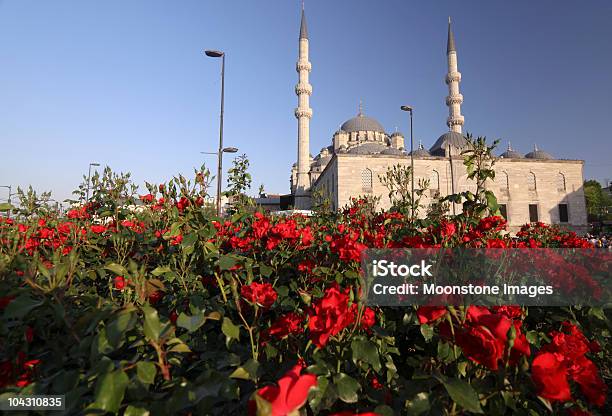 Neuemoschee In Istanbul Türkei Stockfoto und mehr Bilder von Architektonisches Detail - Architektonisches Detail, Architektur, Asien