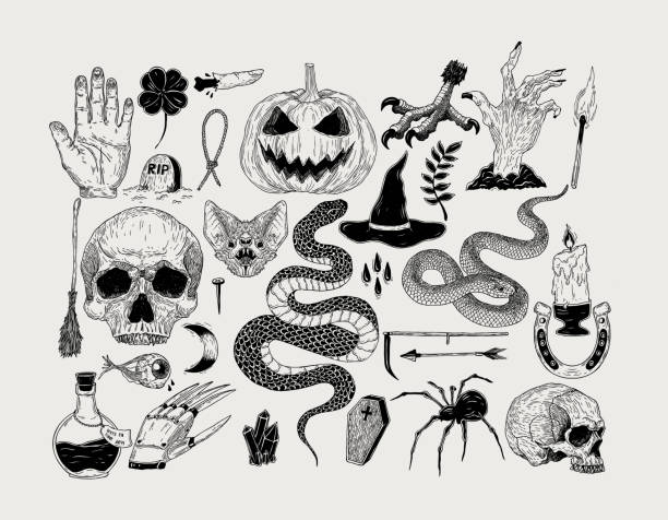 vector handgezeichneten vintage grafiken halloween. kürbis, schädel, hexe, schlange, kerze, fledermaus, spinne, poison, zauber, grab. - poisonous organism illustrations stock-grafiken, -clipart, -cartoons und -symbole