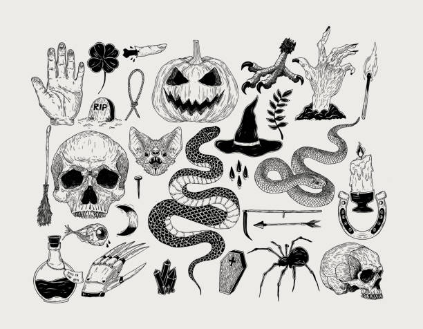 ilustraciones, imágenes clip art, dibujos animados e iconos de stock de mano vintage vector dibujado gráficos de halloween. calabaza, calavera, bruja, serpiente, vela, murciélago, araña, veneno, hechizo, grave - fantasma ilustraciones