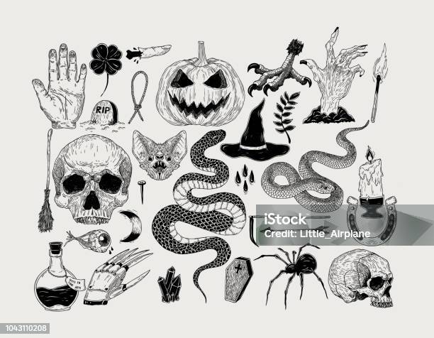 Ilustración de Mano Vintage Vector Dibujado Gráficos De Halloween Calabaza Calavera Bruja Serpiente Vela Murciélago Araña Veneno Hechizo Grave y más Vectores Libres de Derechos de Halloween