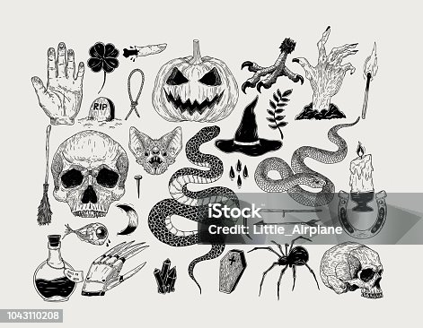 istock Vector vintage hand drawn Halloween graphics. Pumpkin, skull, witch, snake, candle, bat, spider,poison, spell, grave. 1043110208