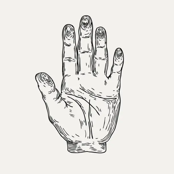 Vector illustration of Vector illustration of human hand. Palmistry, mysticism, chiromancy, witchcraft. Graphic sketch for posters, tattoo, clothes, t-shirt design, pins, patches, badges, stickers.