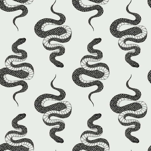 вектор бесшовные стороны обращается старинный шаблон ужаса со змеями. украшение животных для бумаги, текстиля, упаковки украшения, лом-бро� - scrap booking stock illustrations