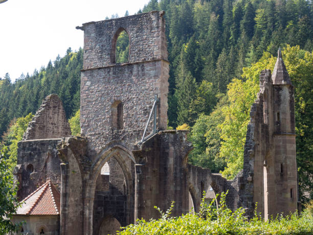 istock the black forest in germany 1043114450