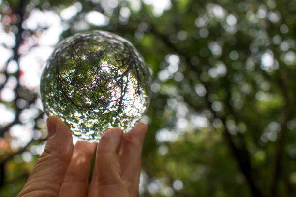 istock Tree Branches and Dappled Light Close Up Through Glass Ball 1043128326