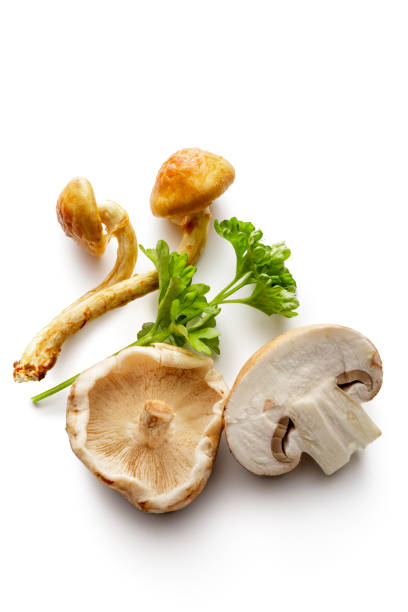 setas: perejil, crimini, shiitake y shimeji hongos aislados en fondo blanco - edible mushroom white mushroom isolated white fotografías e imágenes de stock