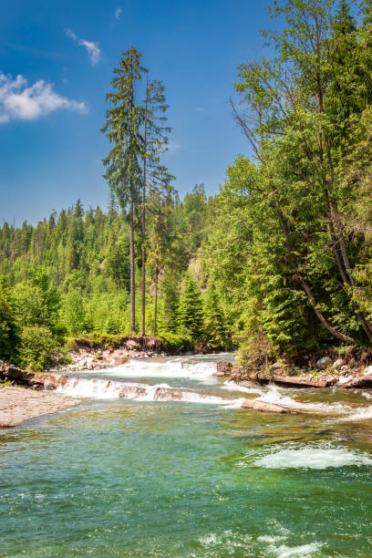 istock Stunning wild river in Tatras mountains in summer 1043138240