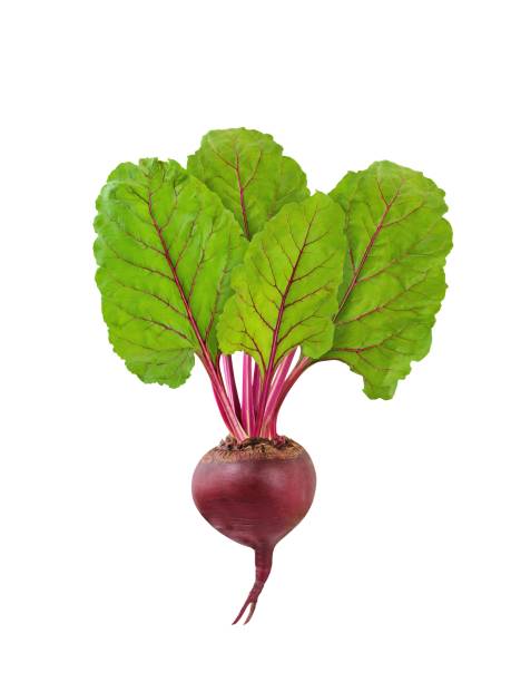 istock Beetroot isolated. Fresh raw beet with green leaves isolated on white background 1043140406