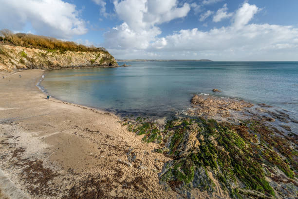 istock Rocks and seaweed at low tide, Porthpean Beach, Cornwall 1043140508