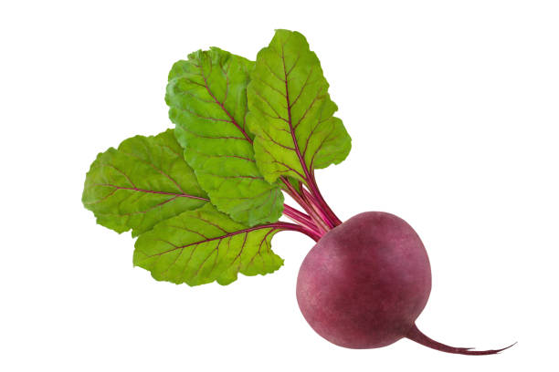 istock Beetroot with foliage. Isolated fresh beet with green beautiful leaves on white background. 1043140592