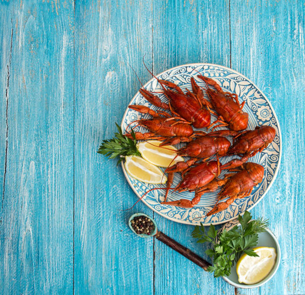 Boiled cooked crayfish crawfish ready to eat on blue plate over on blue wooden background. Copy space. Overhead. Top view.
