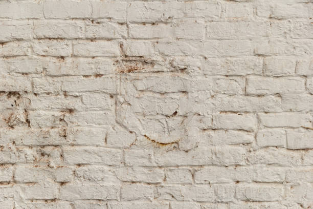 istock Texture of a old brick wall background 1043153312