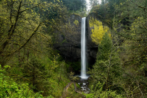 istock Latourell Falls, Columbia Gorge, Oregon 1043157406