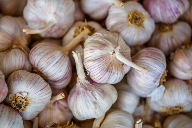 istock pile of garlic view from the top. 1043162082