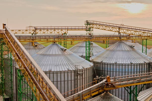 istock Modern silos for storing grain harvest. Agriculture. Background. 1043169982