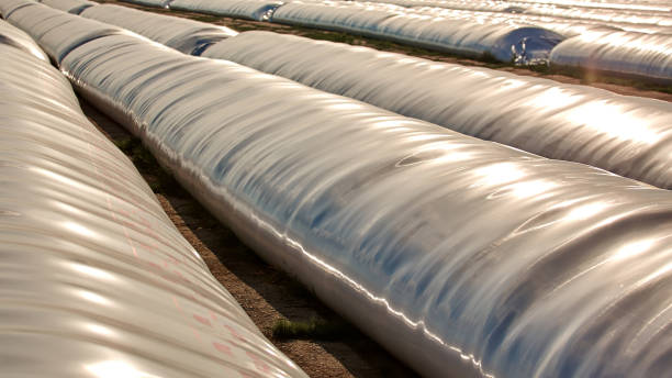 Silo bag in a farm with fence and field. Rural, countryside image, agricultural industry scene. Silo bag in a farm with fence and field. Rural, countryside image, agricultural industry scene silo bag stock pictures, royalty-free photos & images