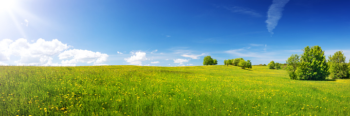 Field of grass and perfect village in Europe